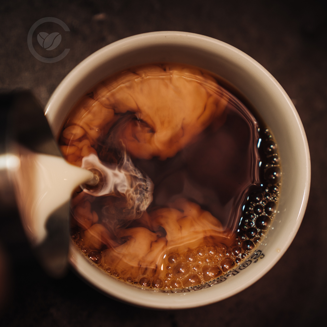 Café de Especialidad · Perú – 100% Arábica con Notas de Chocolate y Avellanas