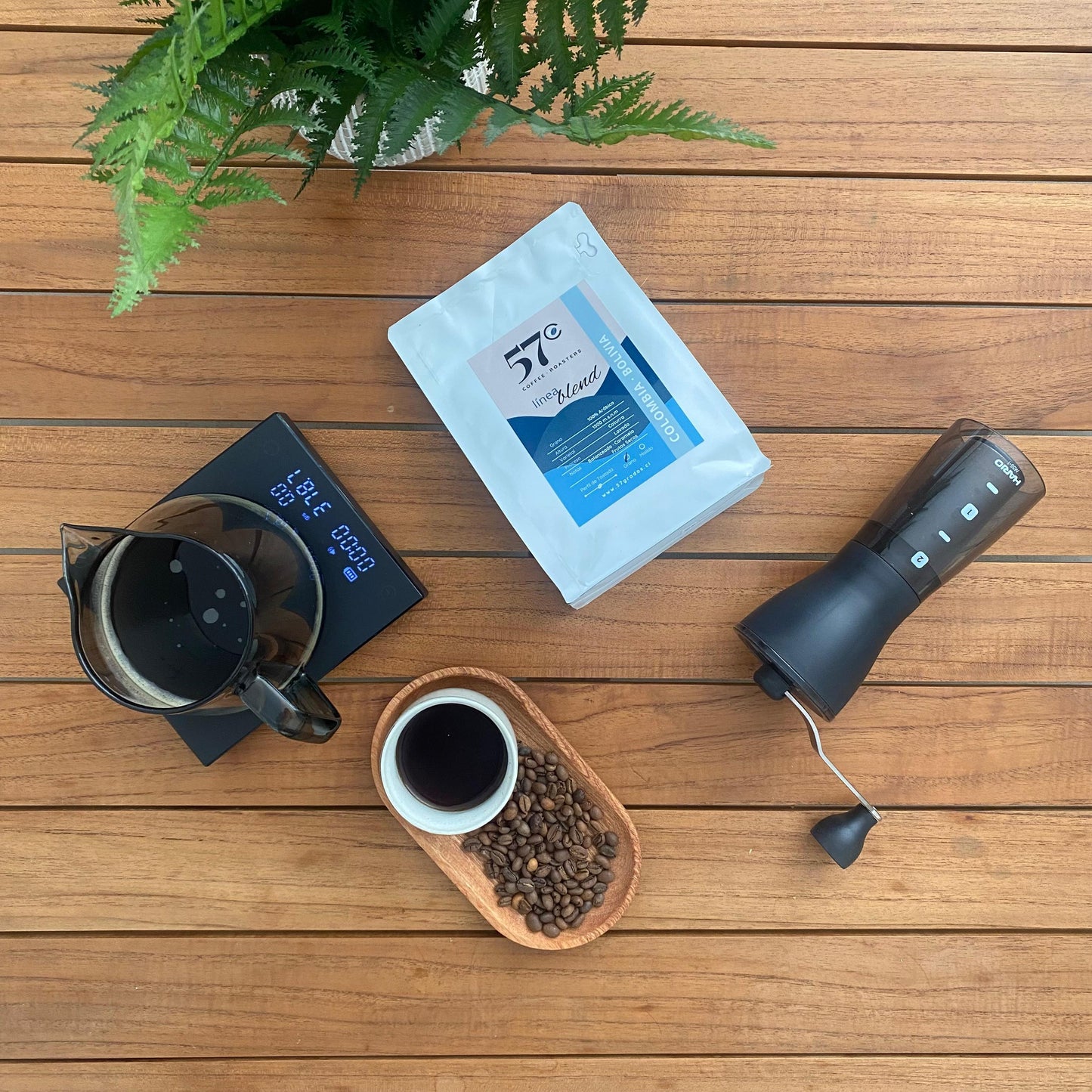 Café de Especialidad · Colombia y Bolivia – Blend 100% Arábica con Notas de Caramelo y Frutos Secos